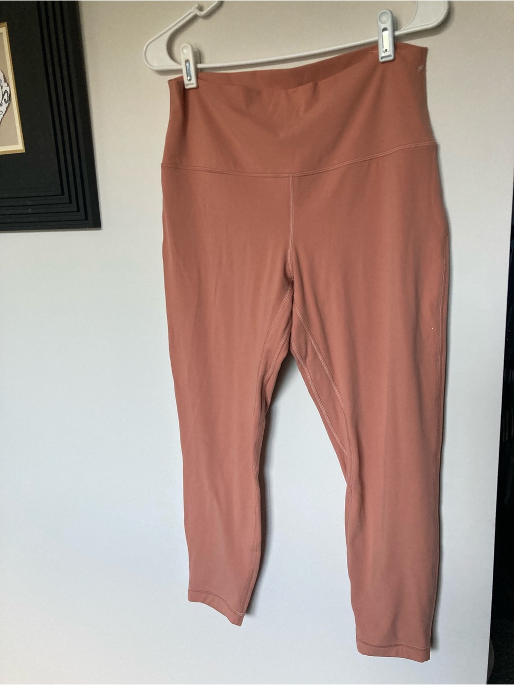 Lululemon align High-Waist Leggings in Terra Cotta size 12